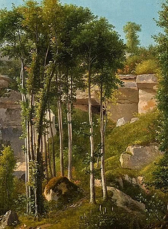 Nel bosco